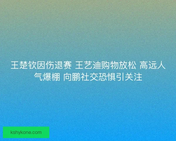 王楚钦因伤退赛 王艺迪购物放松 高远人气爆棚 向鹏社交恐惧引关注