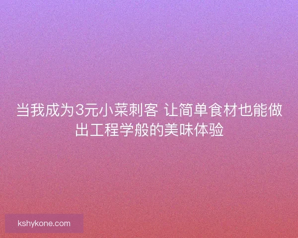 当我成为3元小菜刺客 让简单食材也能做出工程学般的美味体验