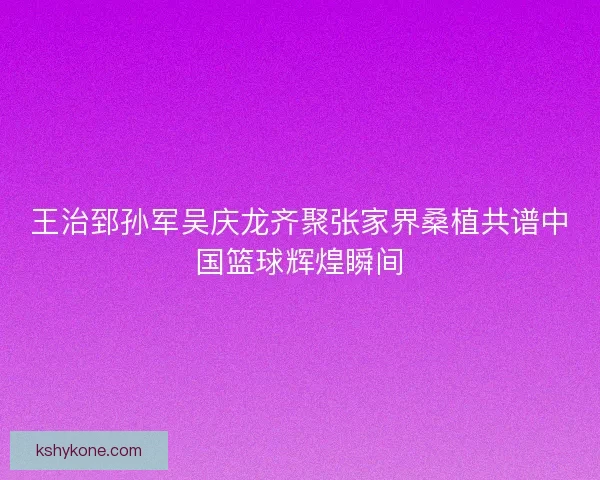 王治郅孙军吴庆龙齐聚张家界桑植共谱中国篮球辉煌瞬间